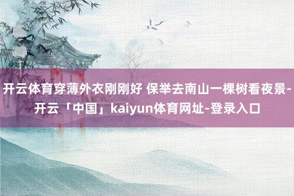 开云体育穿薄外衣刚刚好 保举去南山一棵树看夜景-开云「中国」kaiyun体育网址-登录入口
